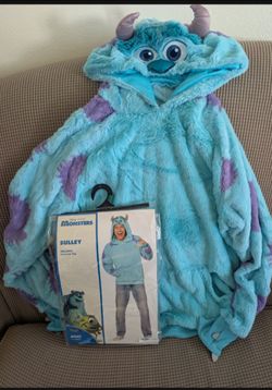 Monsters Inc Halloween  Sulley & Boo