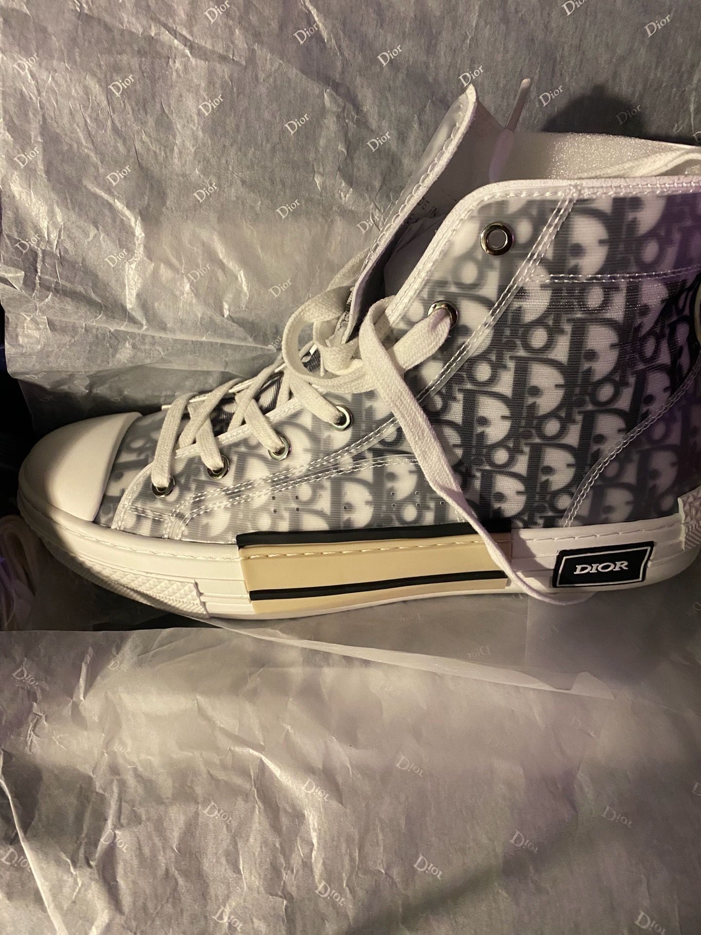 Dior b23