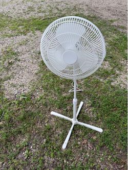 Fan