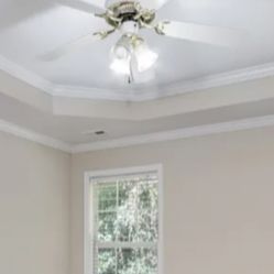 Ceiling fans, Dining Room Lights