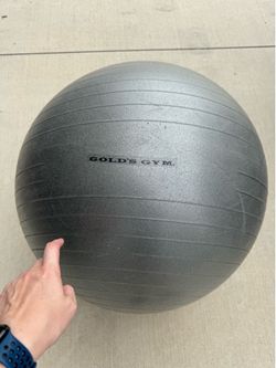 Golds Gym Exercise Ball