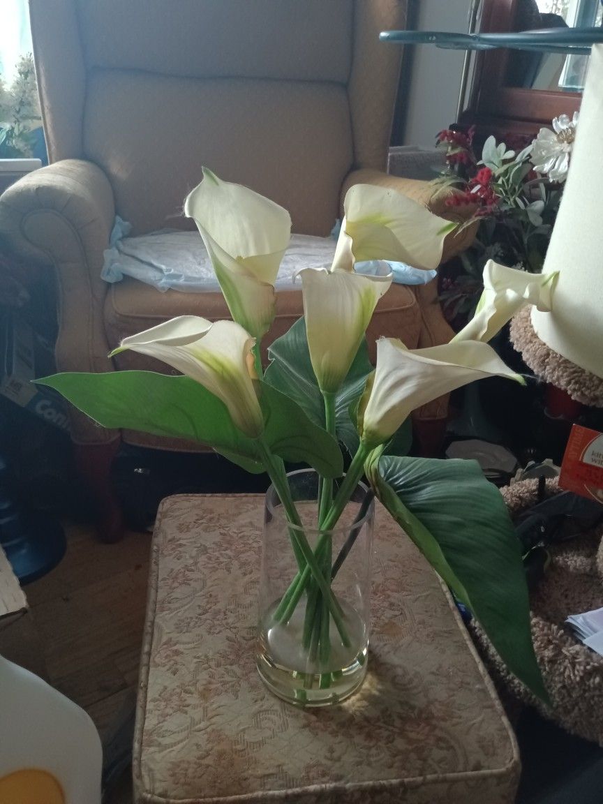 Calla Lilly