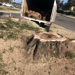 stump grinder free