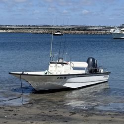 Boston Whaler Montauk 150