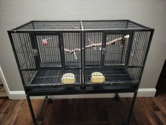 Large bird cage