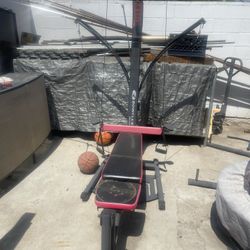 Bowflex Fr100