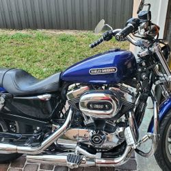 2007 Harley Davidson Sportster 1200