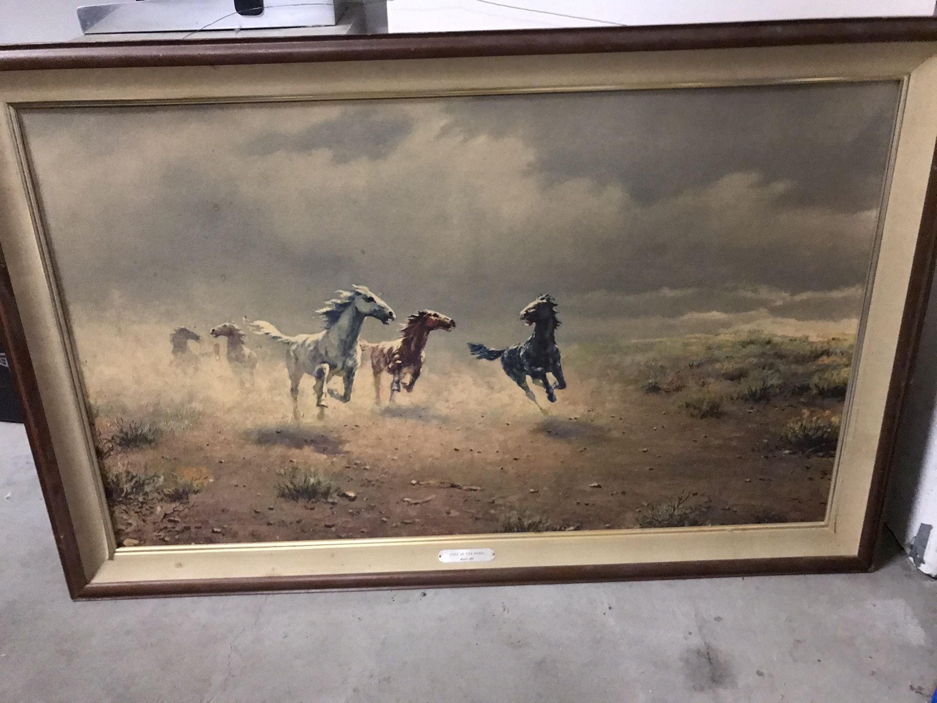 Free as the wind August Albo horse paining