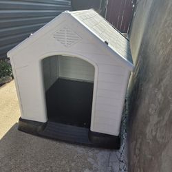 Dog House