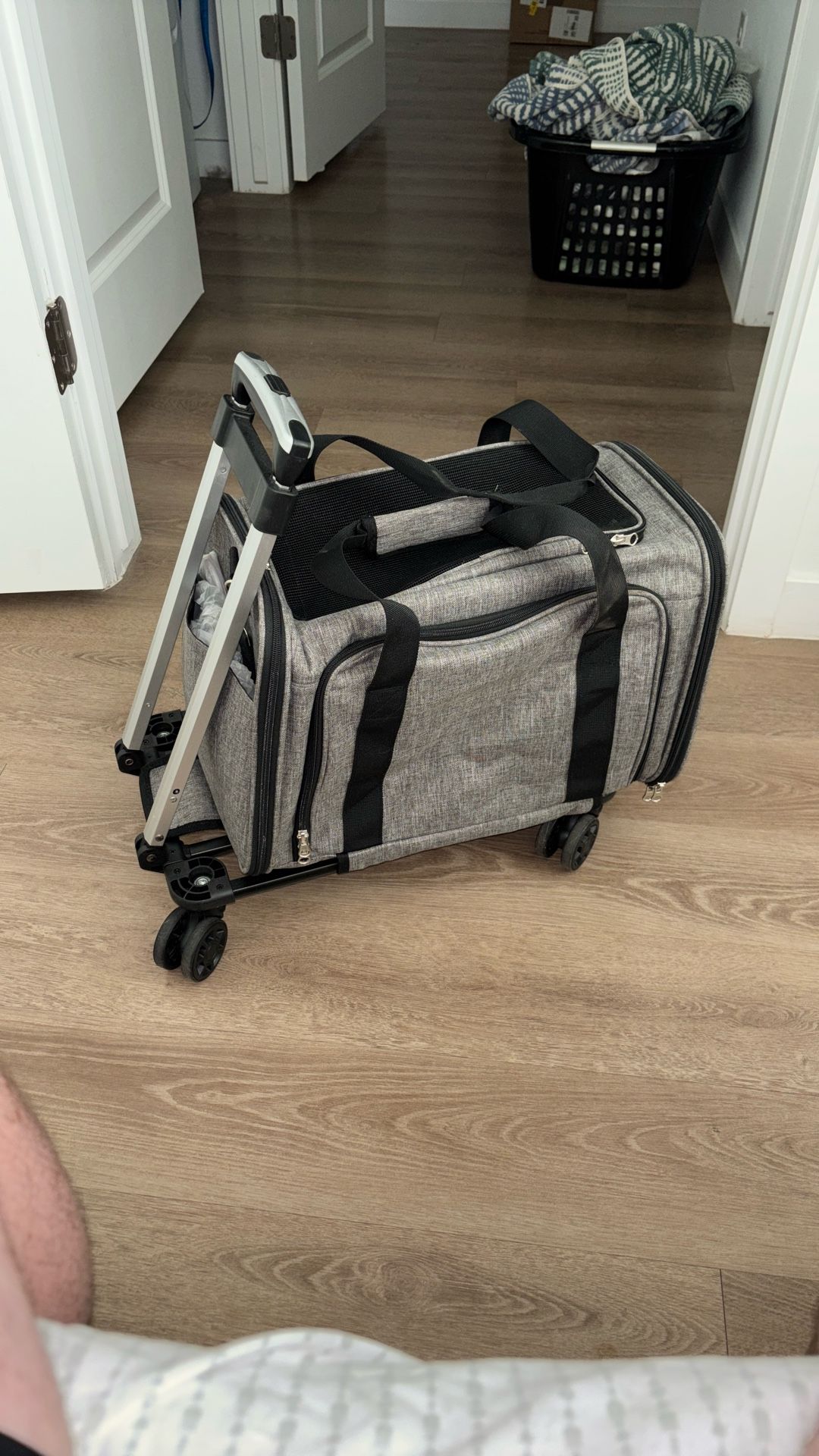 Small Dog Carrier 