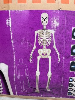Giant skeleton