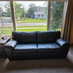 Leather Sleeper Sofa