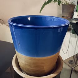 Pot For Plants 