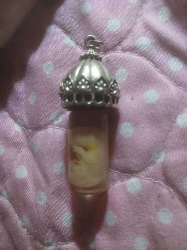 Baby Possum Specimen