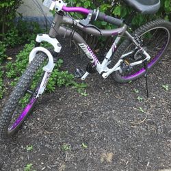 Genesis 26" Whirlwind Women's Mountain Bike, Gray