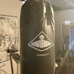 Century Punching Bag