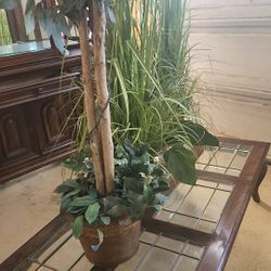 glass and wood coffee table like new 