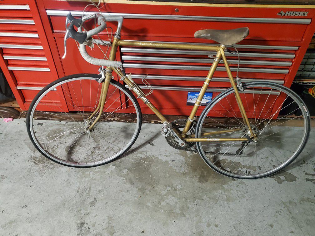 Vintage Raleigh Bike 1977