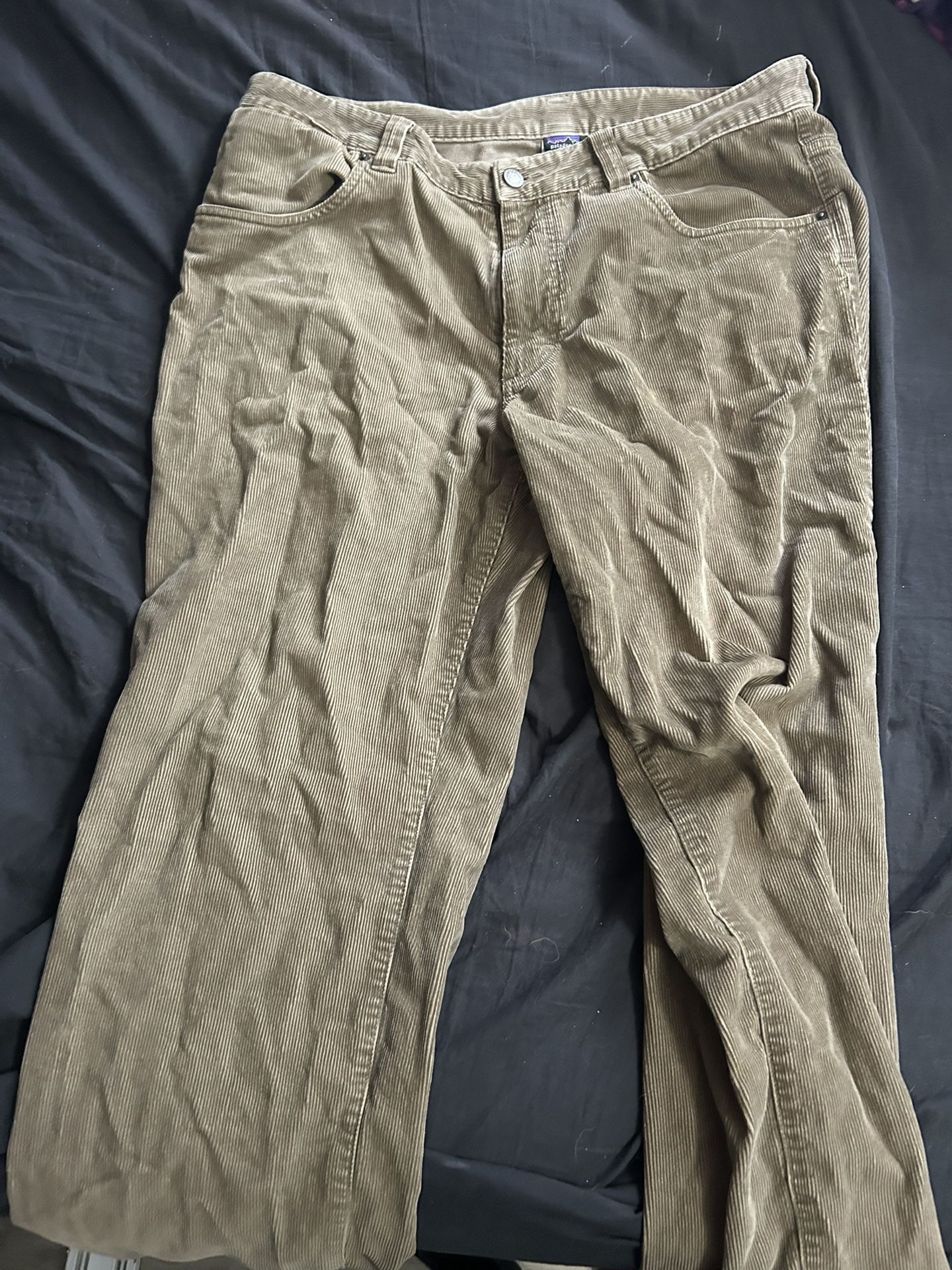 Patagonia Pants