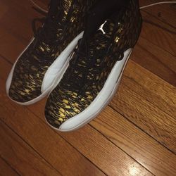 Jordan 12s OVO
