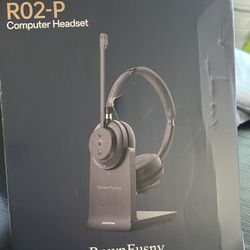 Computer Headset 