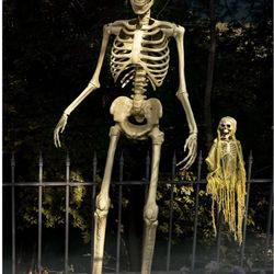 Animated 8 Foot Giant Skeleton