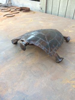 Turtle