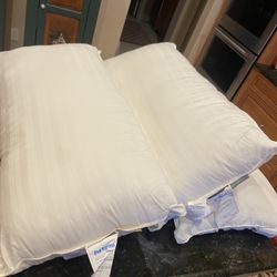 Three King Size Pillows 2 Performa Brand, 1 Unbranded
