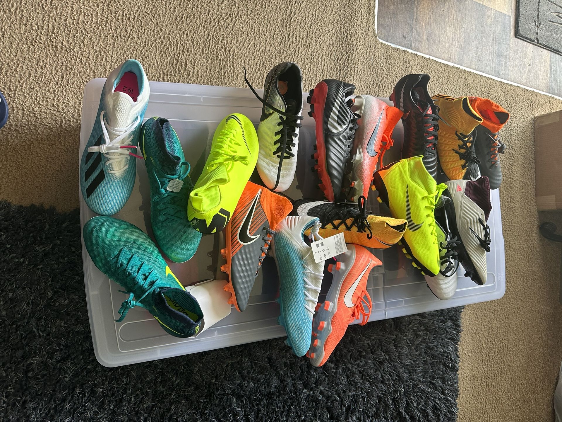 Soccer Shoes