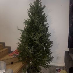 Christmas Tree REAL 