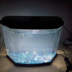 Small Aquarium Setup 