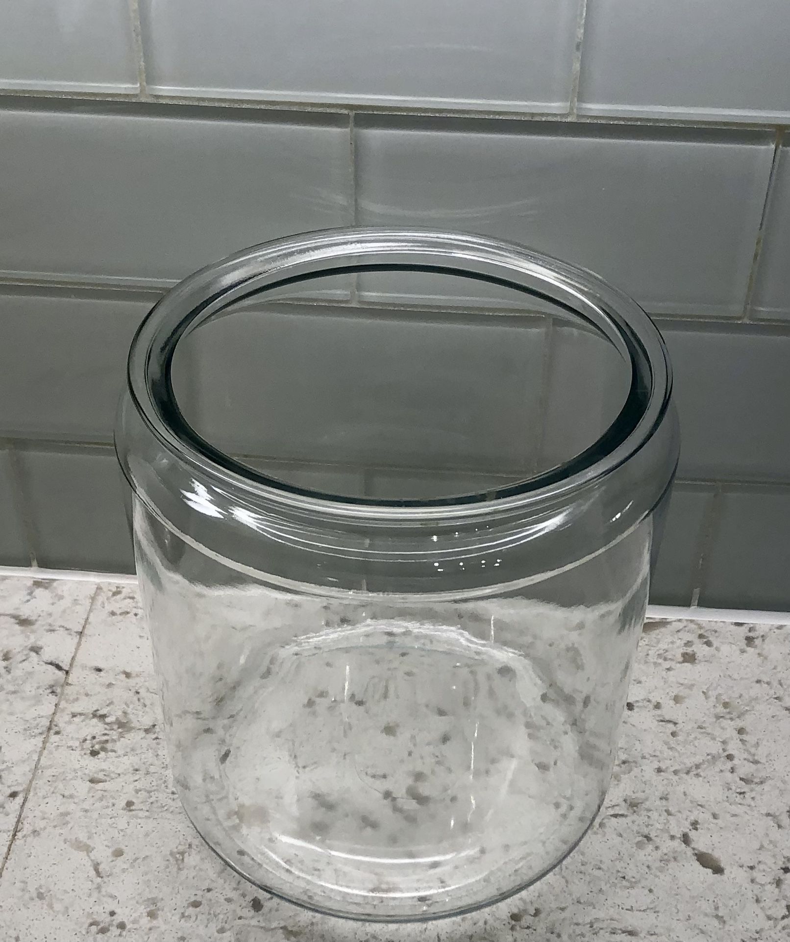 Large Clear Glass Container-Vase-Terrarium (10” H x 9 1/2” W)