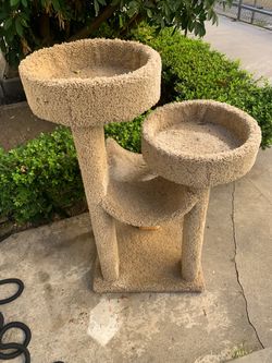 Two-Tier Carpet Cat Tree Tower