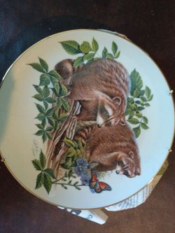 1982 Nature's Heritage "Raccoons" Collector Plate by Richard Timm w/ Hanger