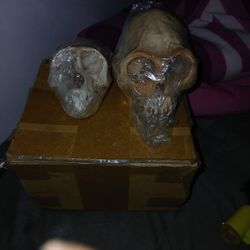 Actual Monkey Scolls