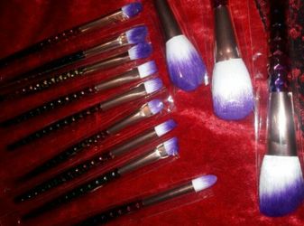 AWESOME 12 PIECE MAKEUP BRUSHED, VERY SOFT $25