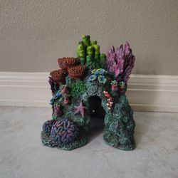 Fake Coral Cave