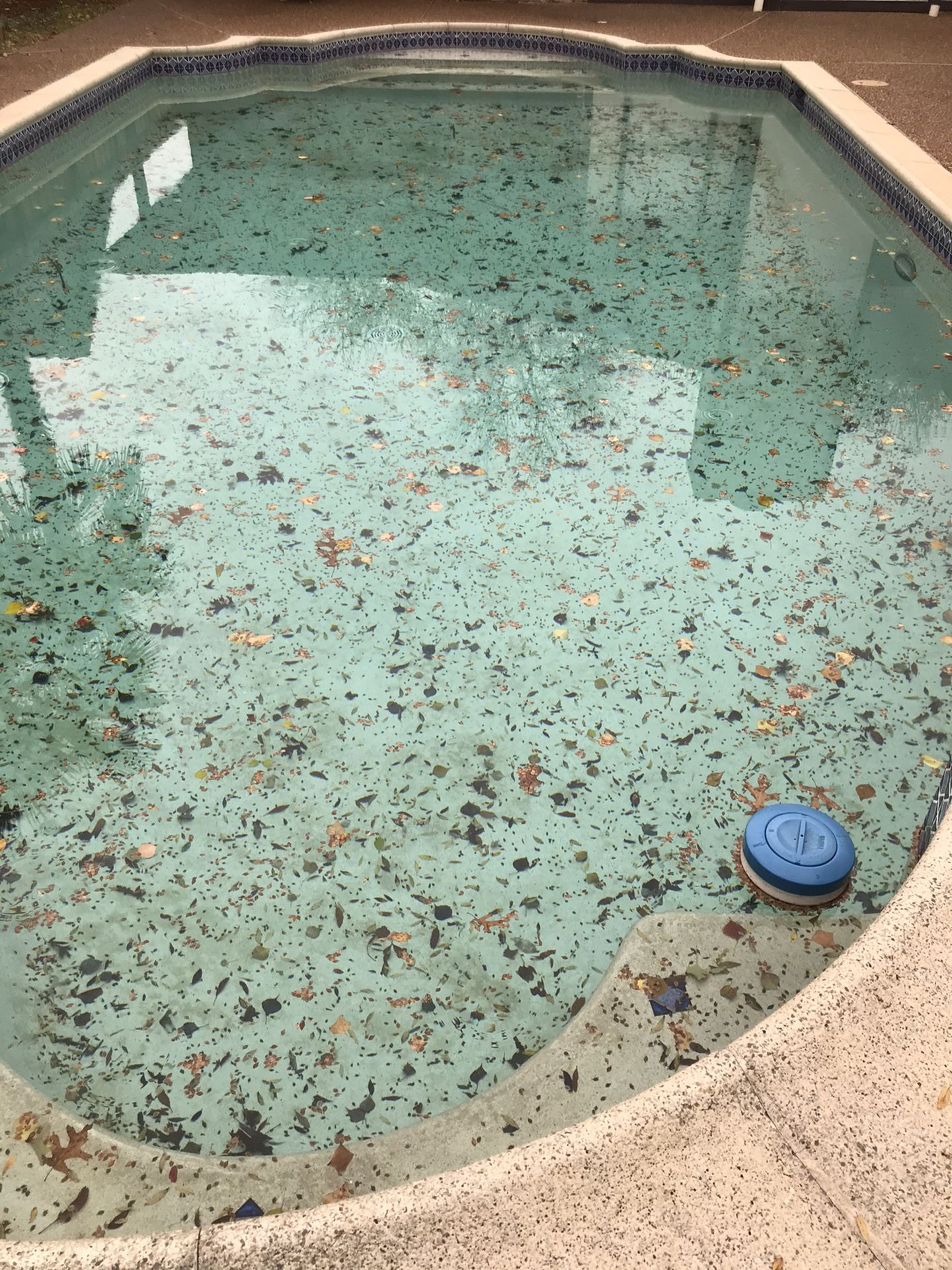 Limpieza De albercas