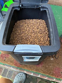 Iam cat food