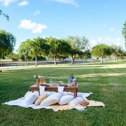 Picnic Table 