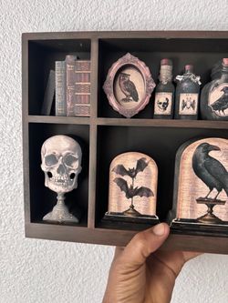 Halloween Cozy Spooky 14.5" Skull & Potions Curiosities Box Tabletop Decor Gift
