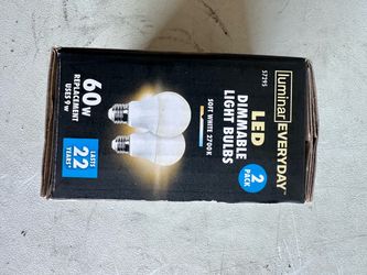 LED lightbulbs