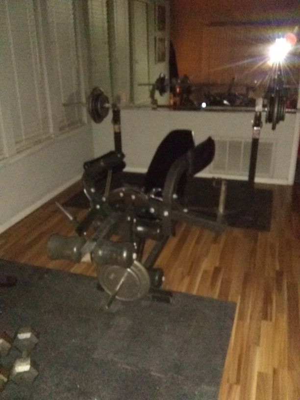 Weight Bench (Brutus by EXCEL.. The perfect bench.. )