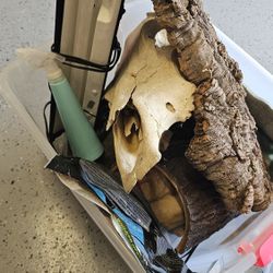 Snake Hides Plus More