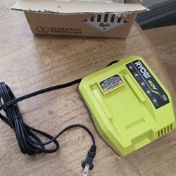 Ryobi 40 V Charger