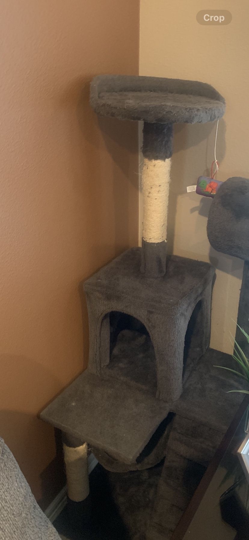 Cat Play /scratch Post