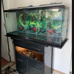 55 Gallon Tank With 2 Filters 