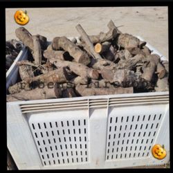 Firewood Seasoned Ready 