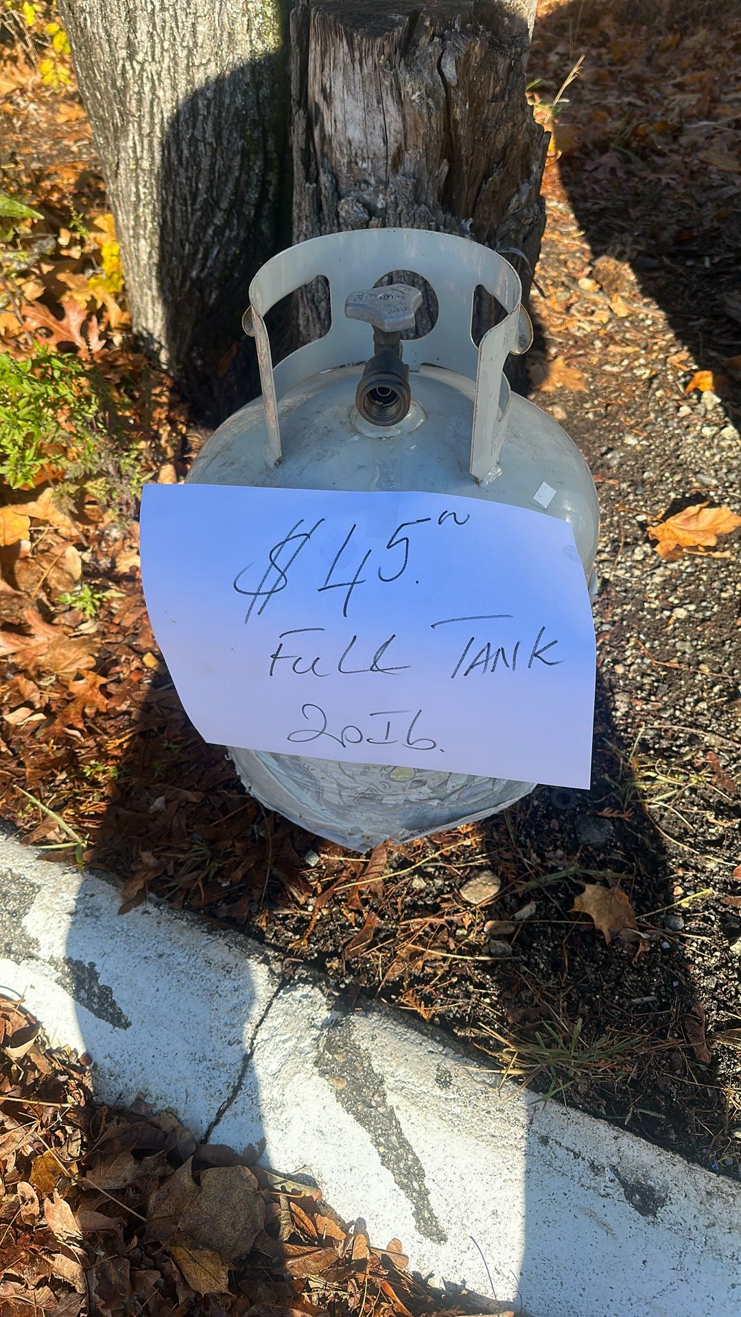 Propane Tanks 20  and 30 Pounds  Full 