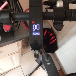 Halboy Electric Scooter 